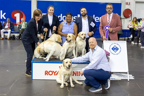 Beste avlsklasse lørdag.jpg